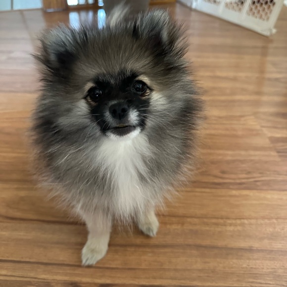 ❤️LOVES OFFERS ❤️! - Picture 8 of 16